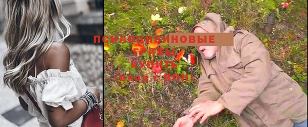 шишки Абдулино