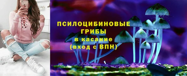 шишки Абдулино