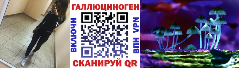 кракен как зайти  нарко площадка состав  Сусуман  Псилоцибиновые грибы Psilocybine cubensis  где продают наркотики 
